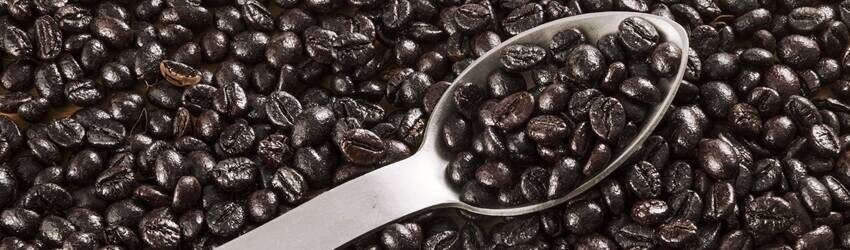 Oily coffee beans