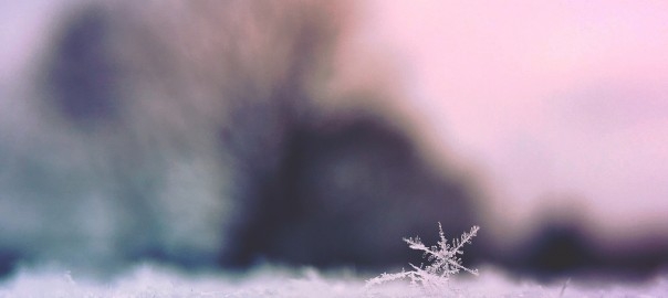 Throwing hot coffee into the air... at -32 degrees