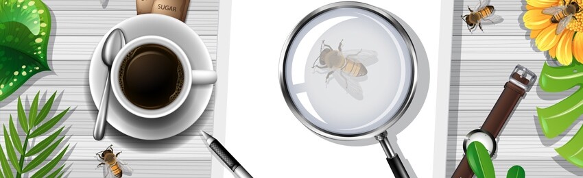 Wasps & Coffee