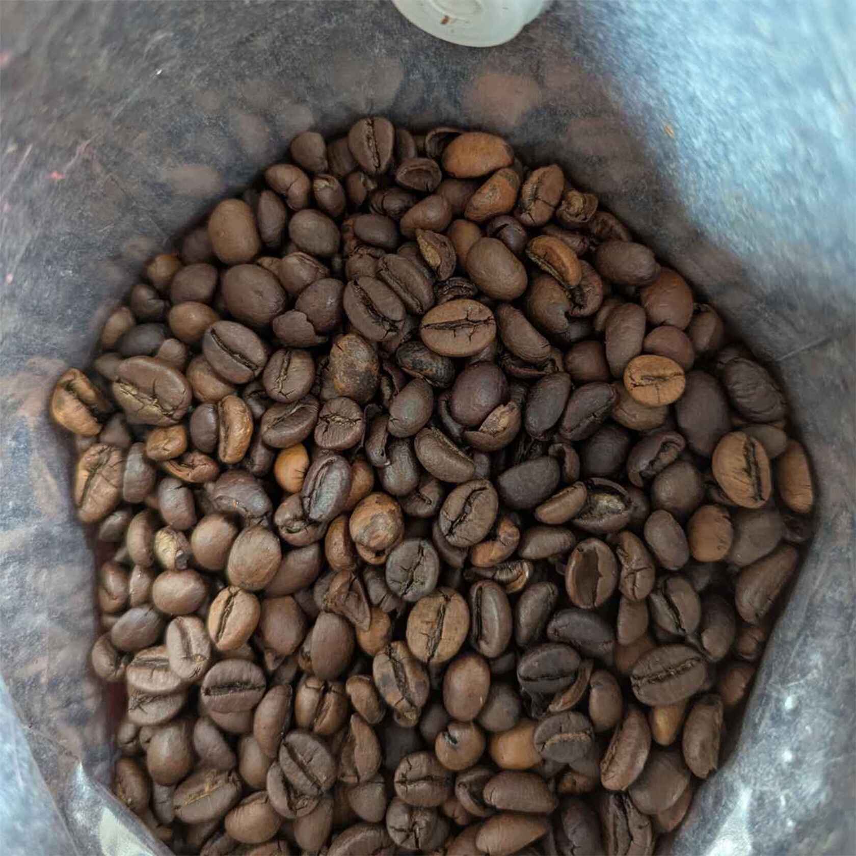 Segafredo Intermezzo Coffee Beans 1kg | Café du Jour