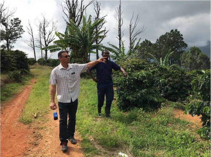 Jamaican Blue Mountain №1 - Fresh coffee beans - 100g