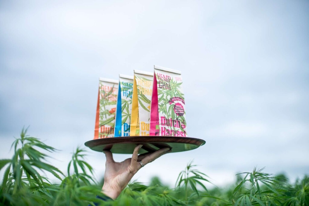 Hemp Chai - Hemp Chai Tea 50g - Dutch Harvest Loose Tea