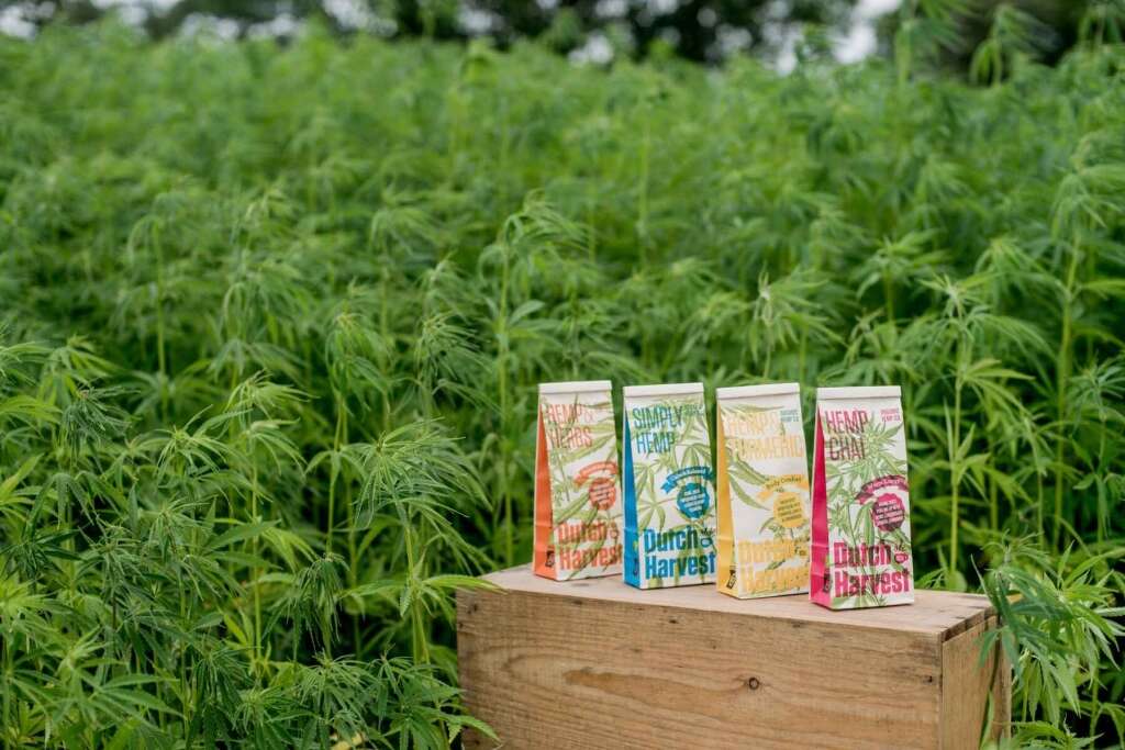 Hemp & Turmeric - Hemp & Turmeric Tea 50g - Dutch Harvest Loose Tea