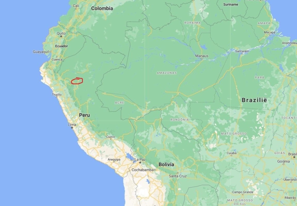 Millésime - Peru Speculoos - 55% milk chocolate (Organic)