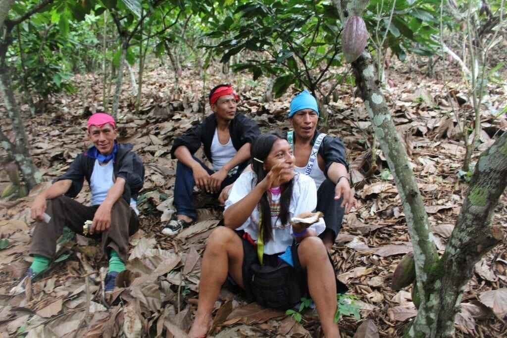 Millésime - Peru Speculoos - 55% milk chocolate (Organic)